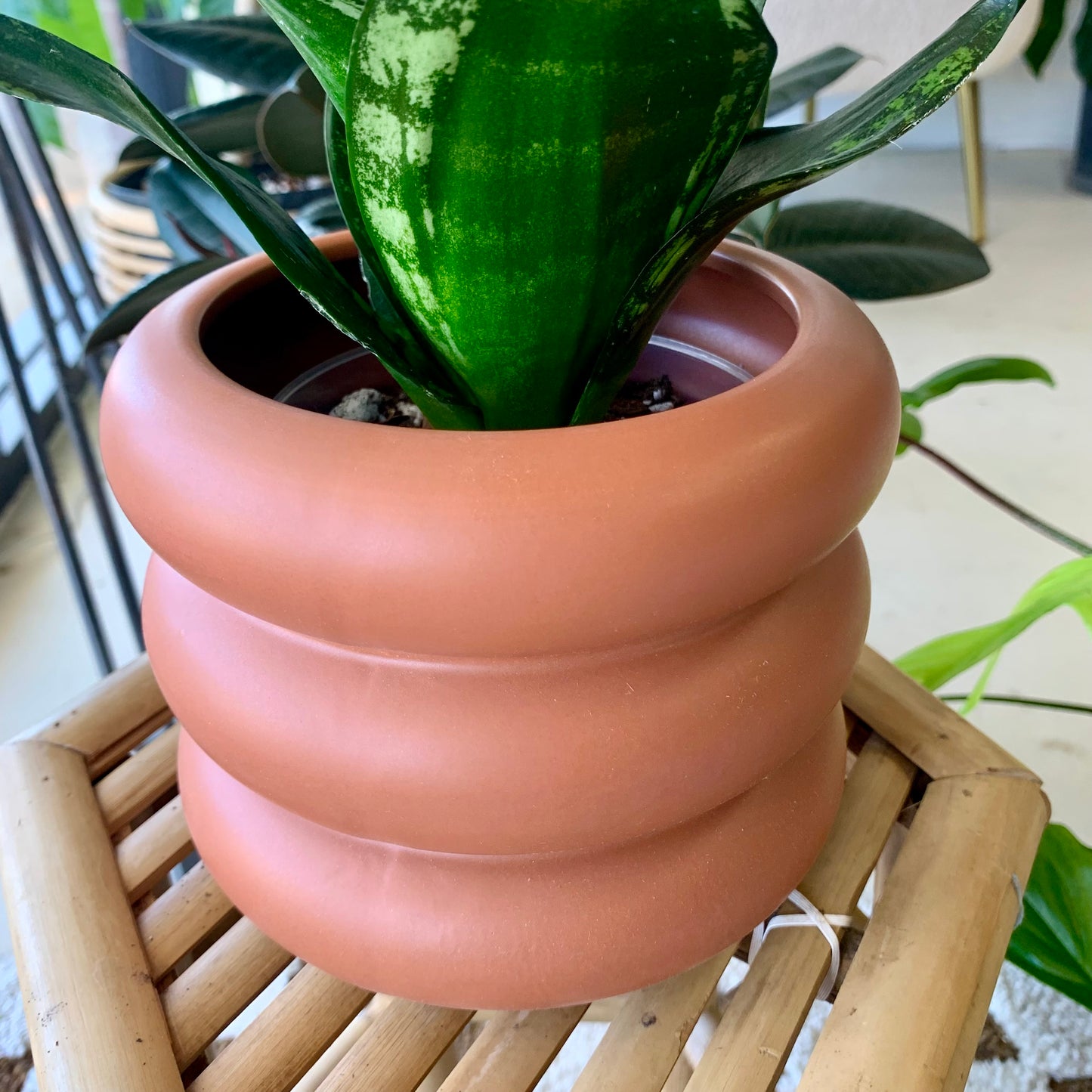 Motley Bubble Planter