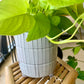 Bray Footed Planter