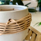 Lissome Pot