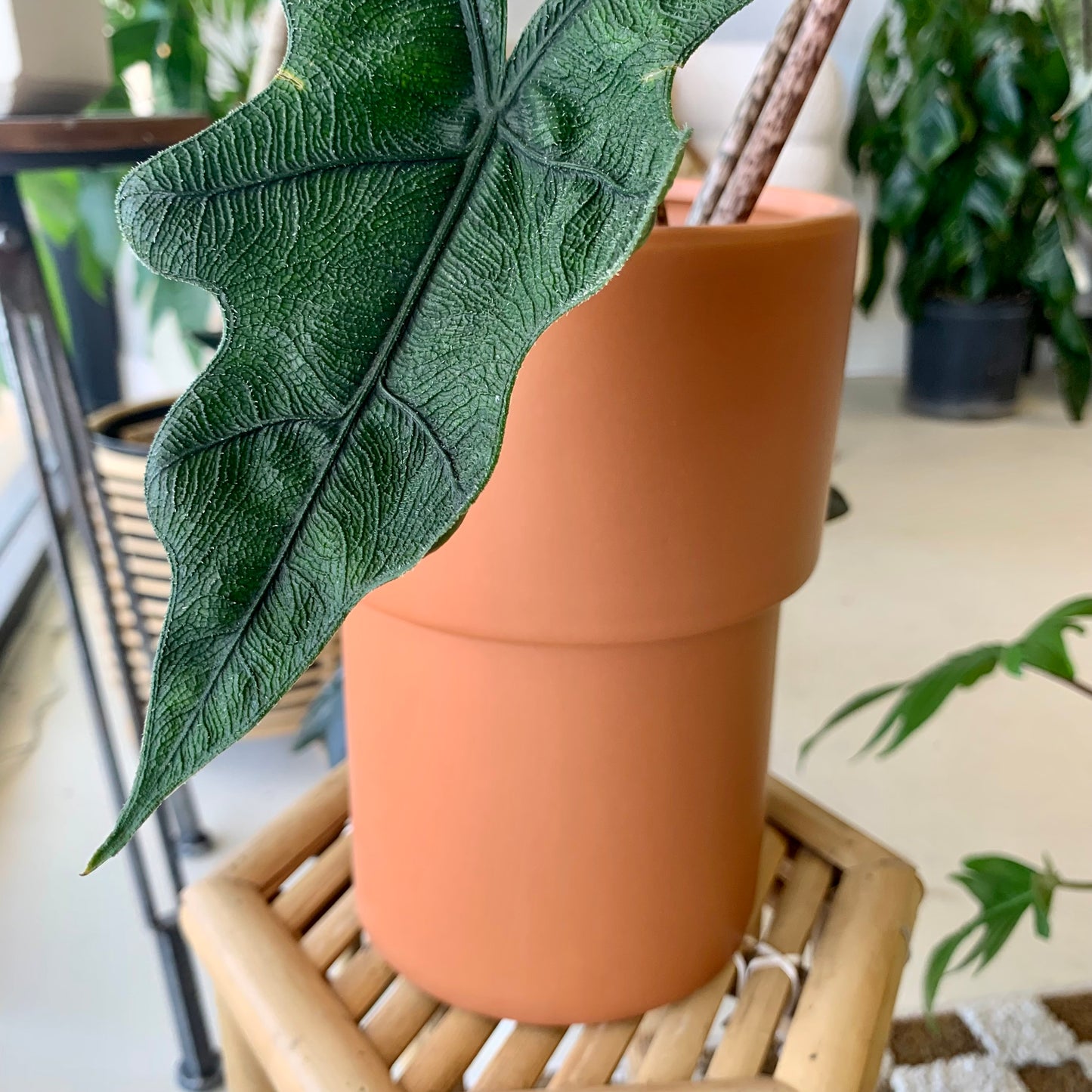 Tall Vermillion Pot