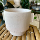 Milton Pot