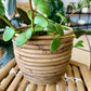 Natural Aroon Pot
