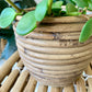 Natural Aroon Pot