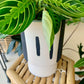 Trabar Pot