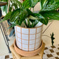 Grid Line Pot