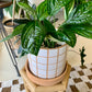 Grid Line Pot