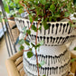 Amazon Pot