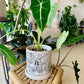 Plant Lady Pot