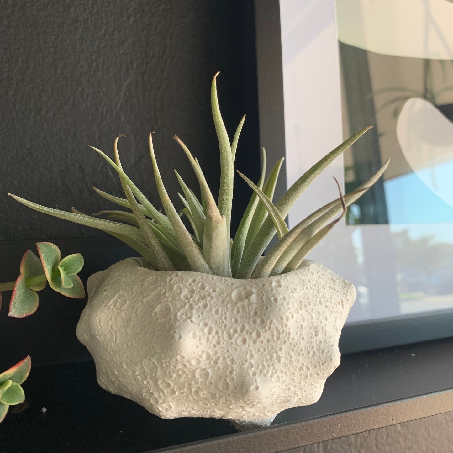 White Terracotta Planter/Bowl