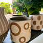 Distressed Terracotta Planter