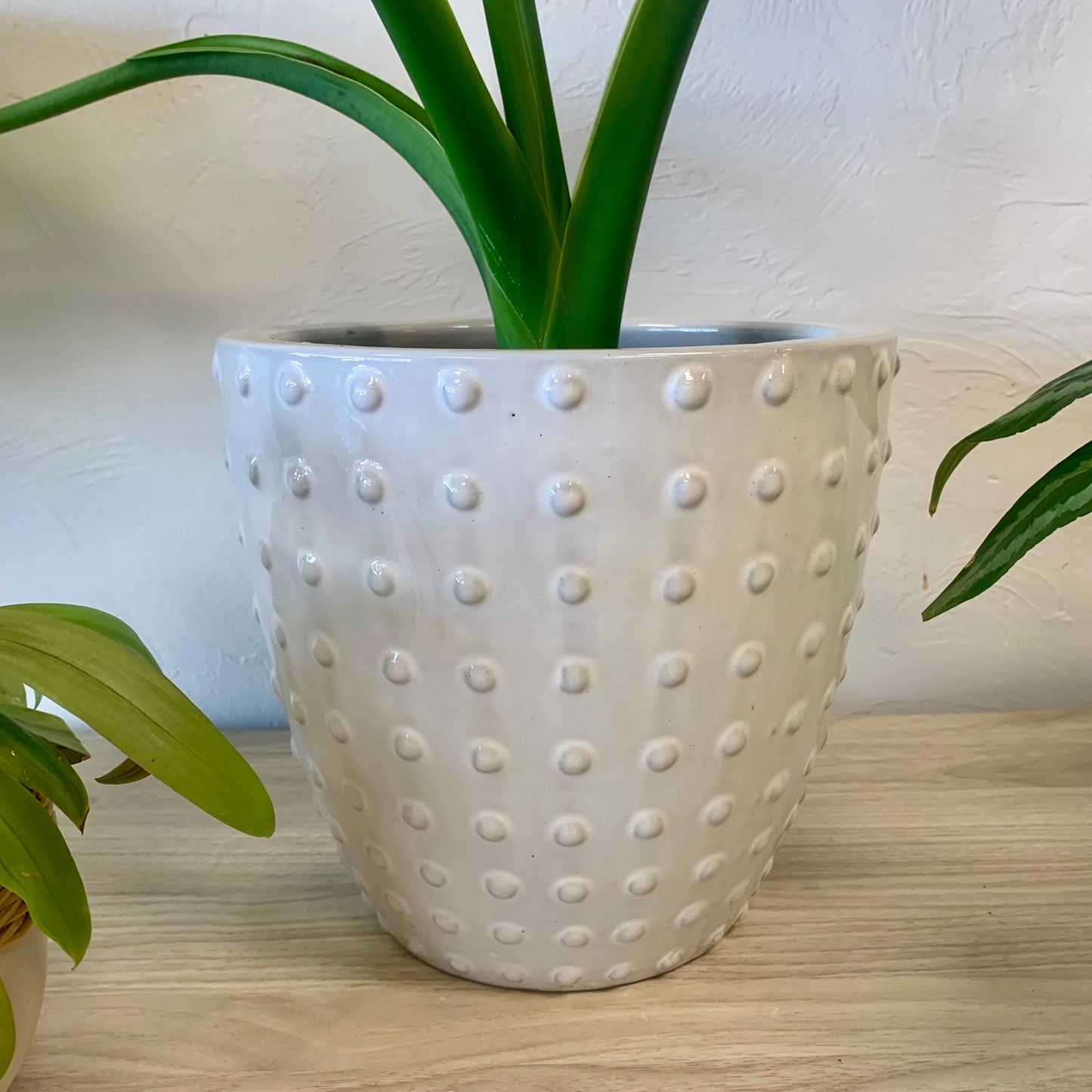 Dottie Indoor | Outdoor Planter