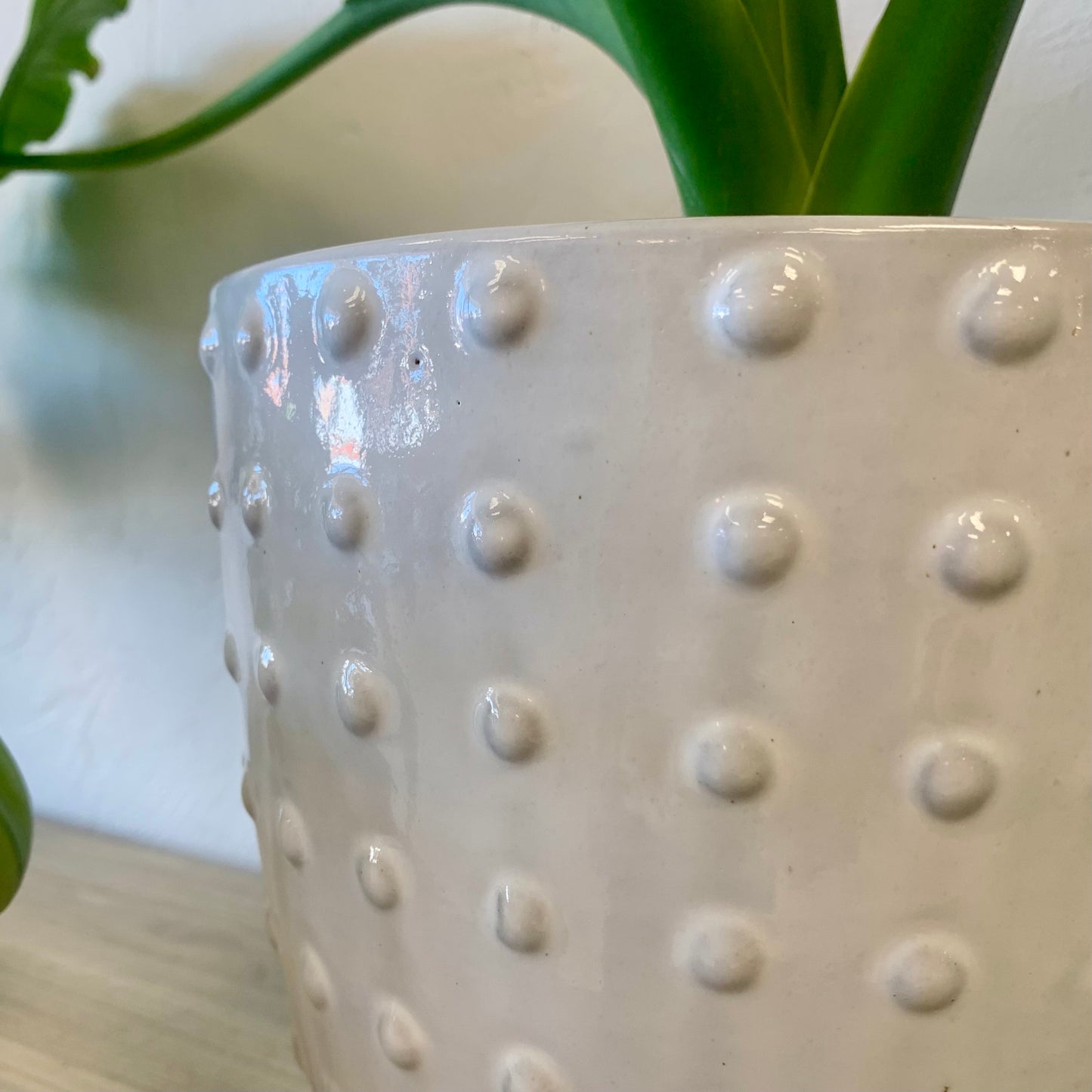 Dottie Indoor | Outdoor Planter