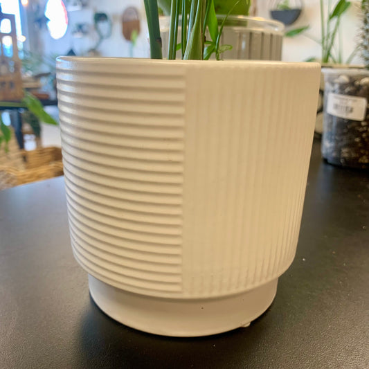 Sorenette Planter