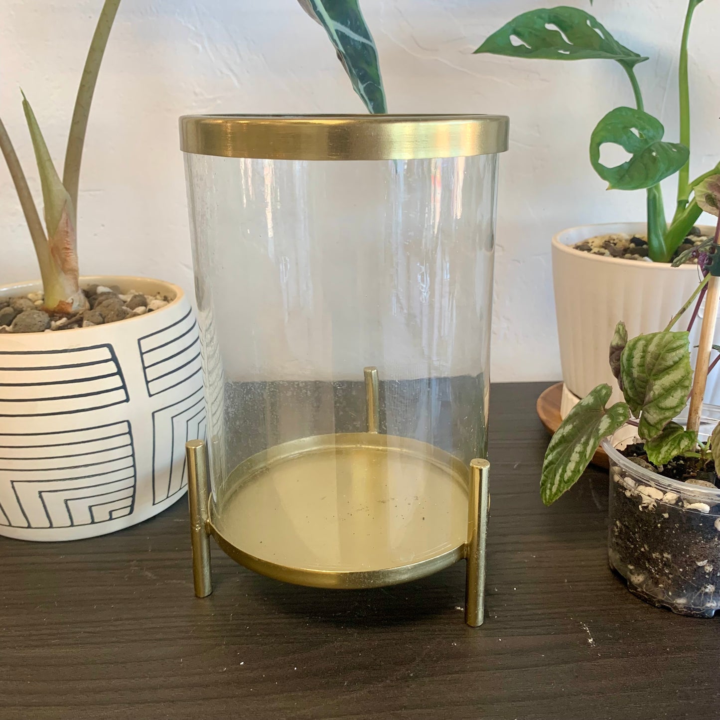 Tall Brass Terrarium