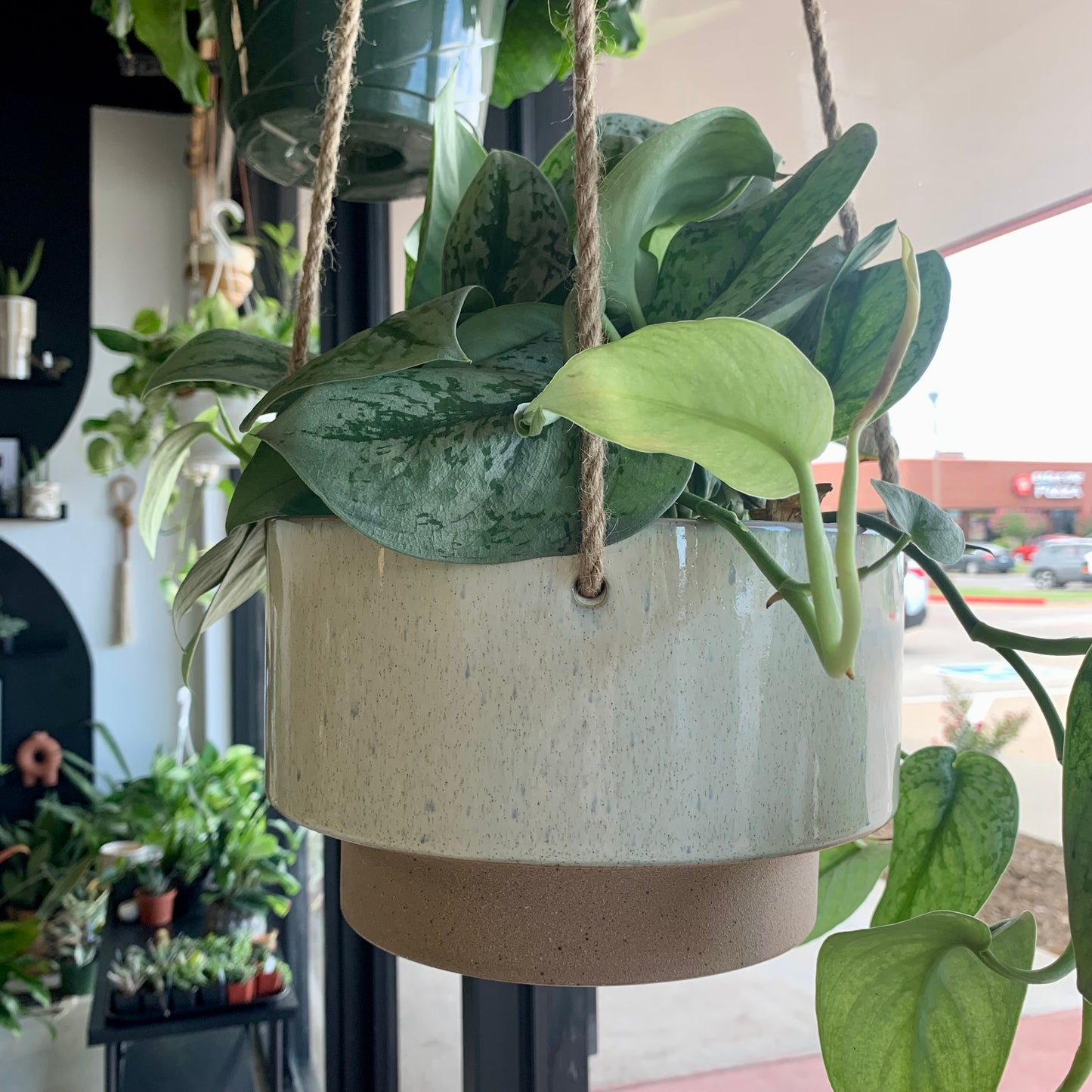 Speckled Hanging Planter