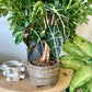 Paper Mache Footed Bowl