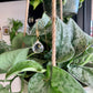 Crystal Ball Plant Jewelry