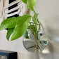Glass Wall Hanging Dish