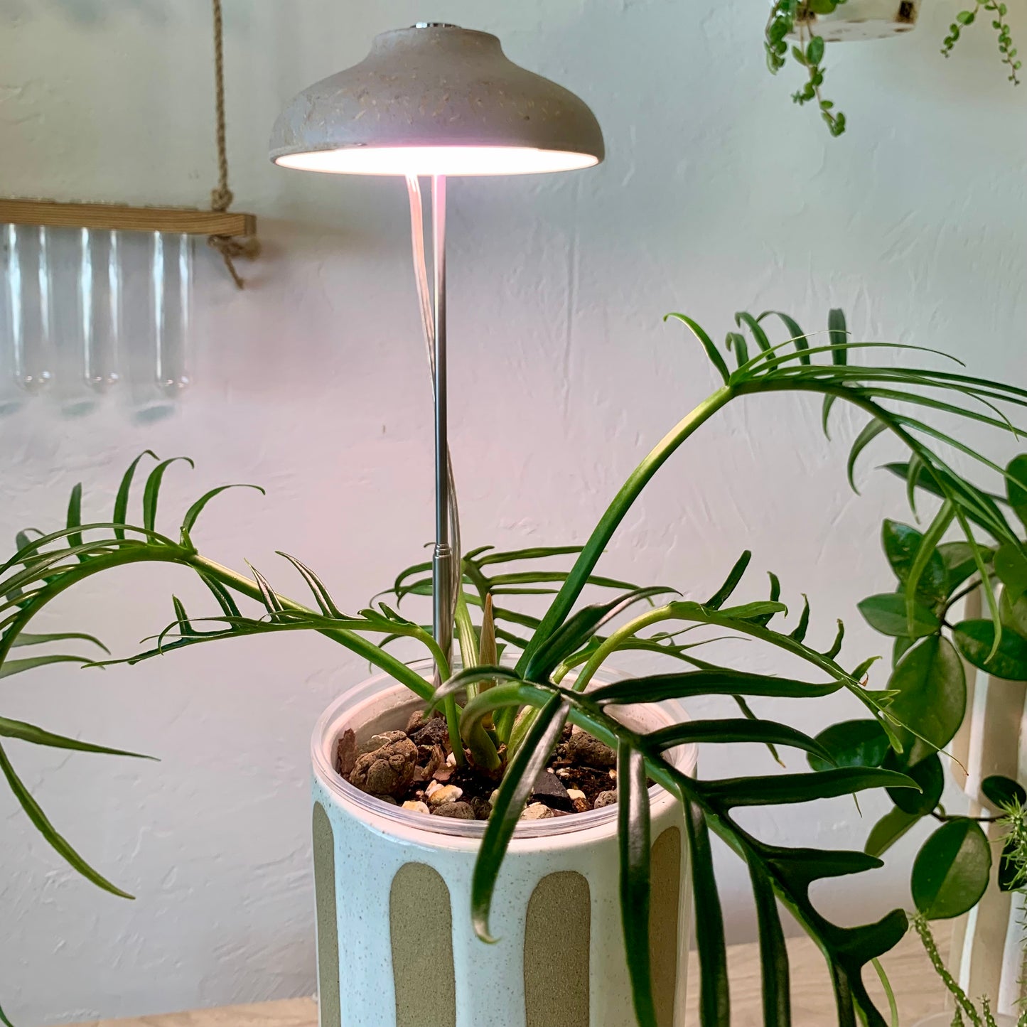 Instant Sun Grow Lamp