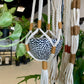 Modern Macrame Plant Hanger
