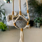 Modern Macrame Plant Hanger