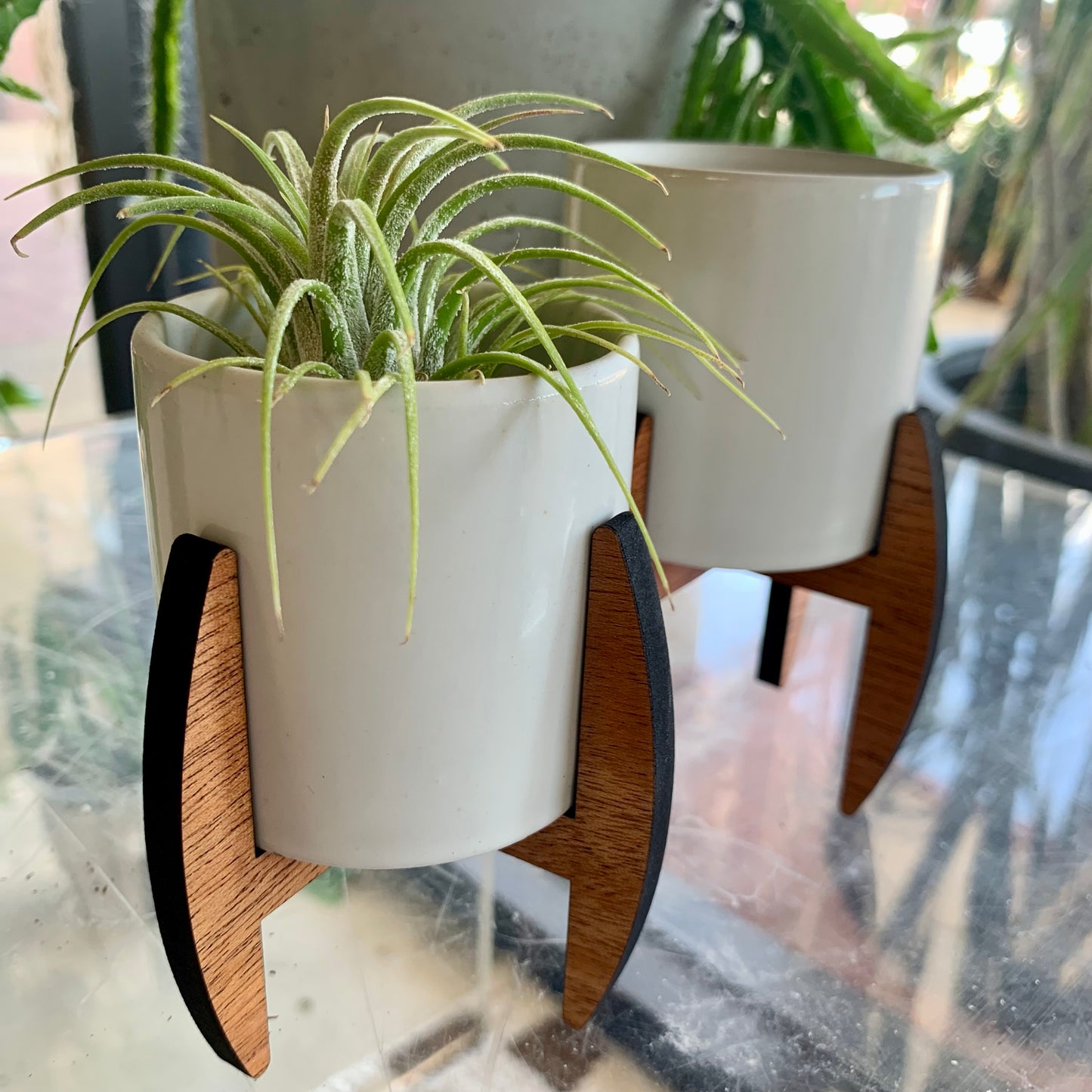 Mini Mid-Century Plant Stand with Pot