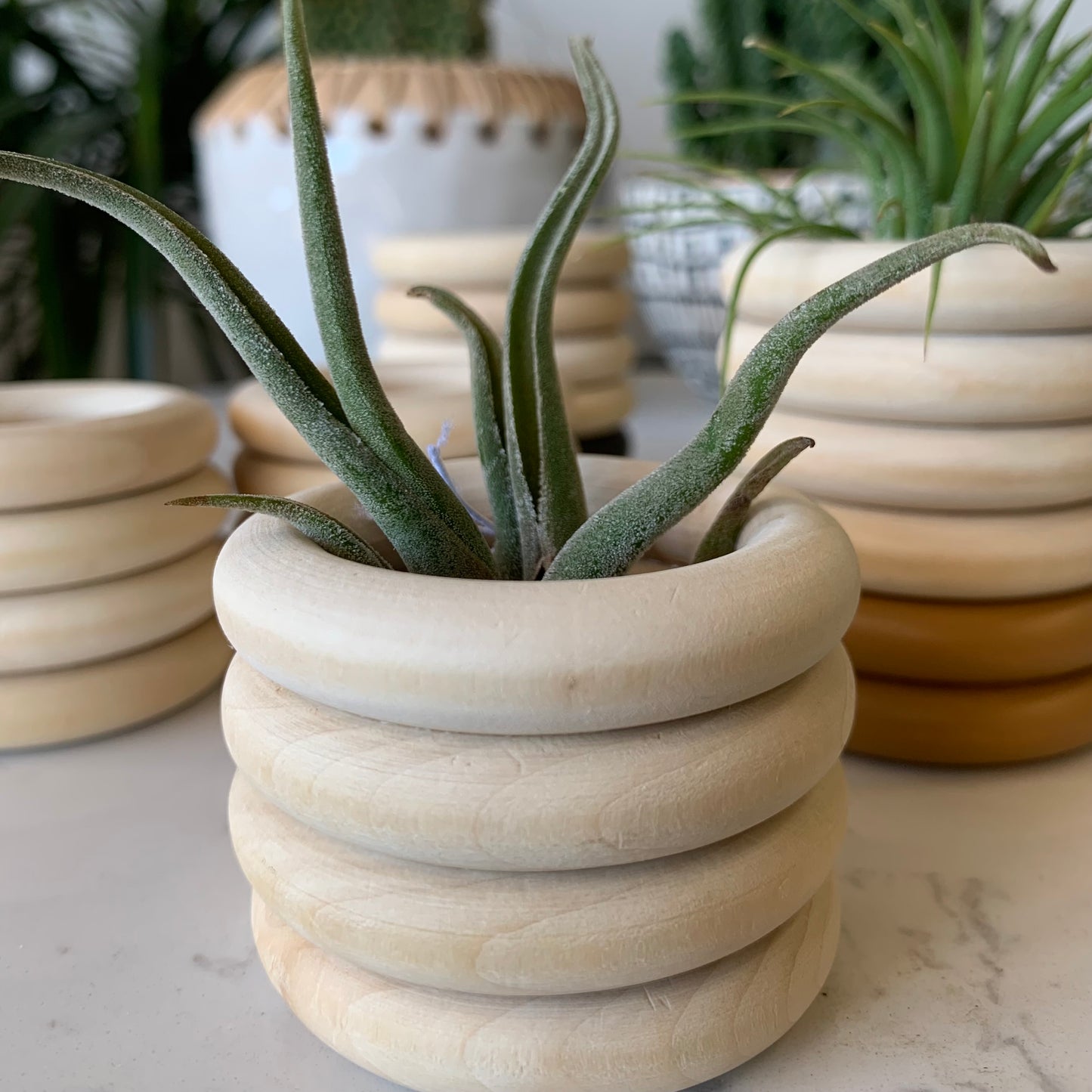 Bubble Wooden Air Plant Holder