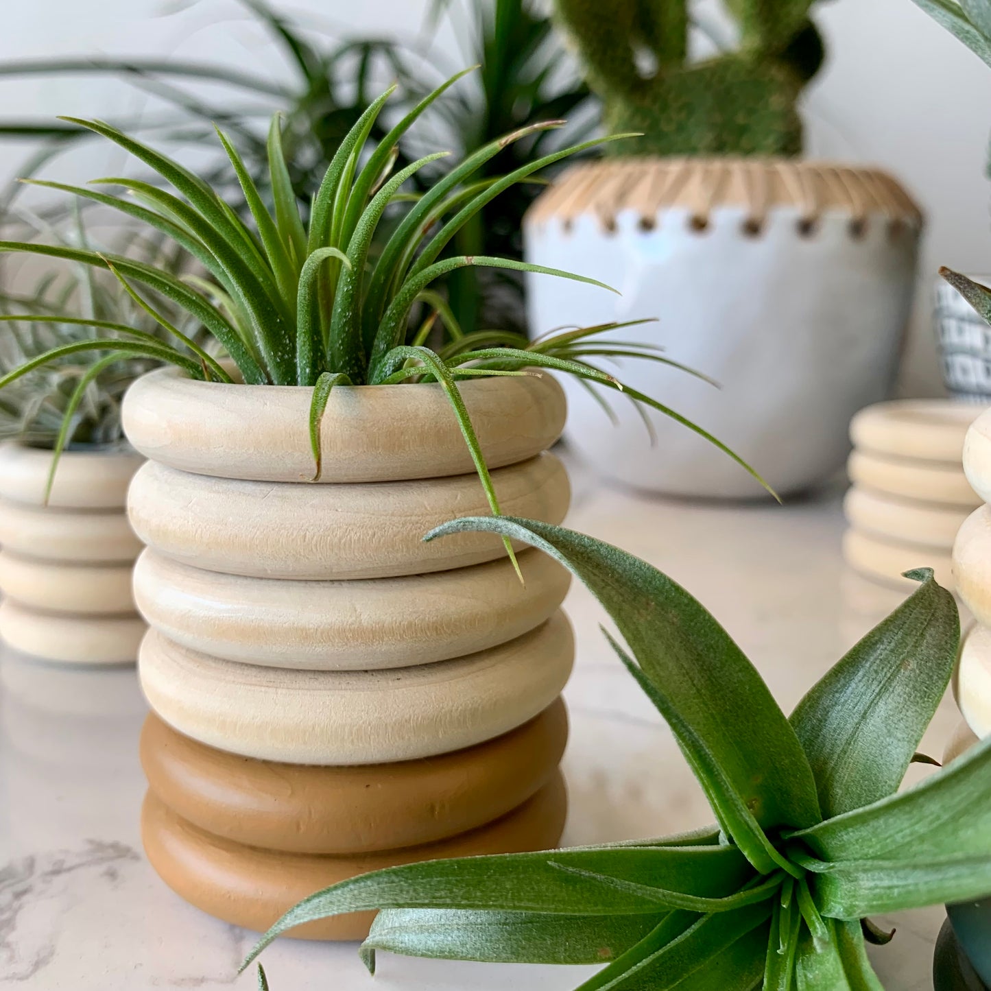 Tall Bubble Wooden Air Plant Holder