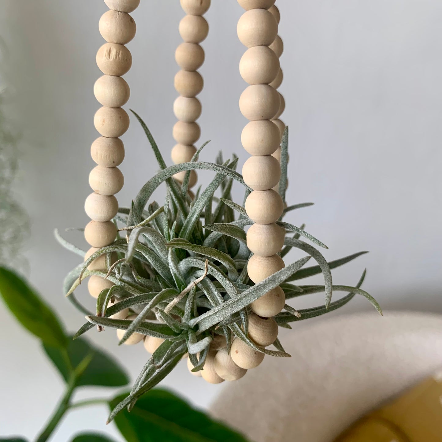 Mini Wood Plant Hanger