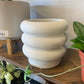 Bubble Planter