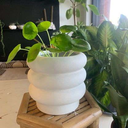 Bubble Planter