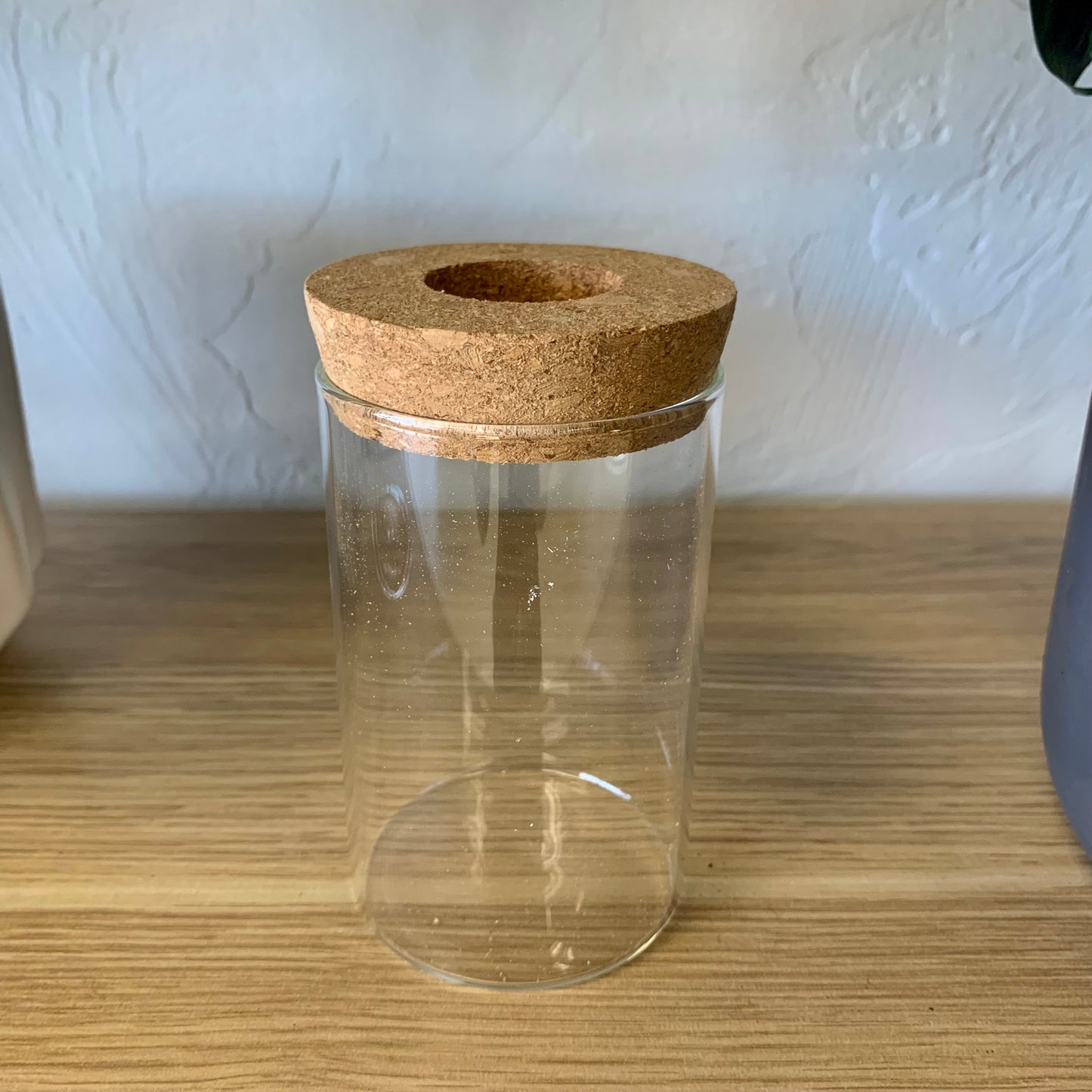 Propagation Vase
