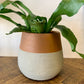 Colorblock Terracotta & Cement Planter