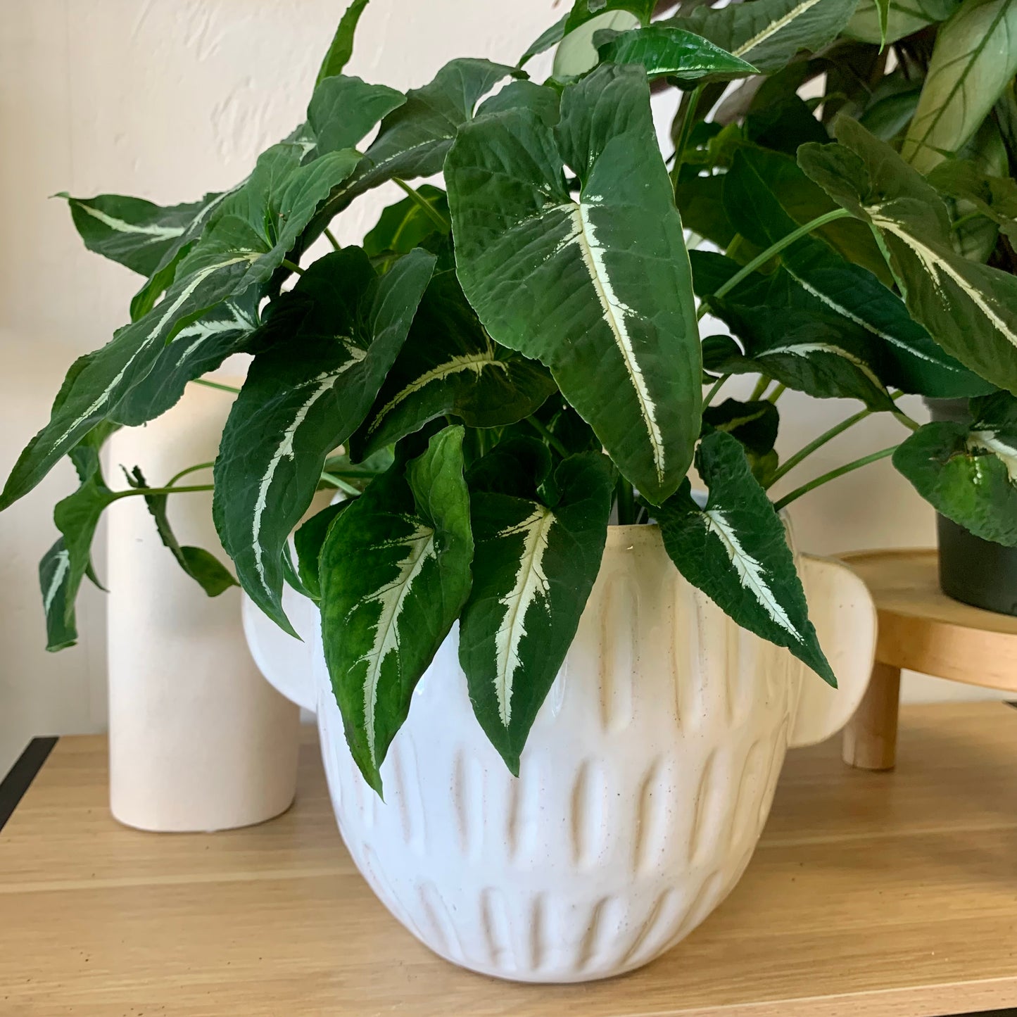 White Stoneware Planter