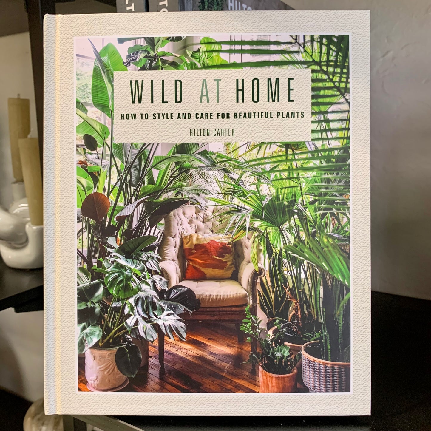 Wild at Home Book by Hilton Carter