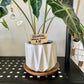 Wood Tray