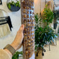 Moss Poles
