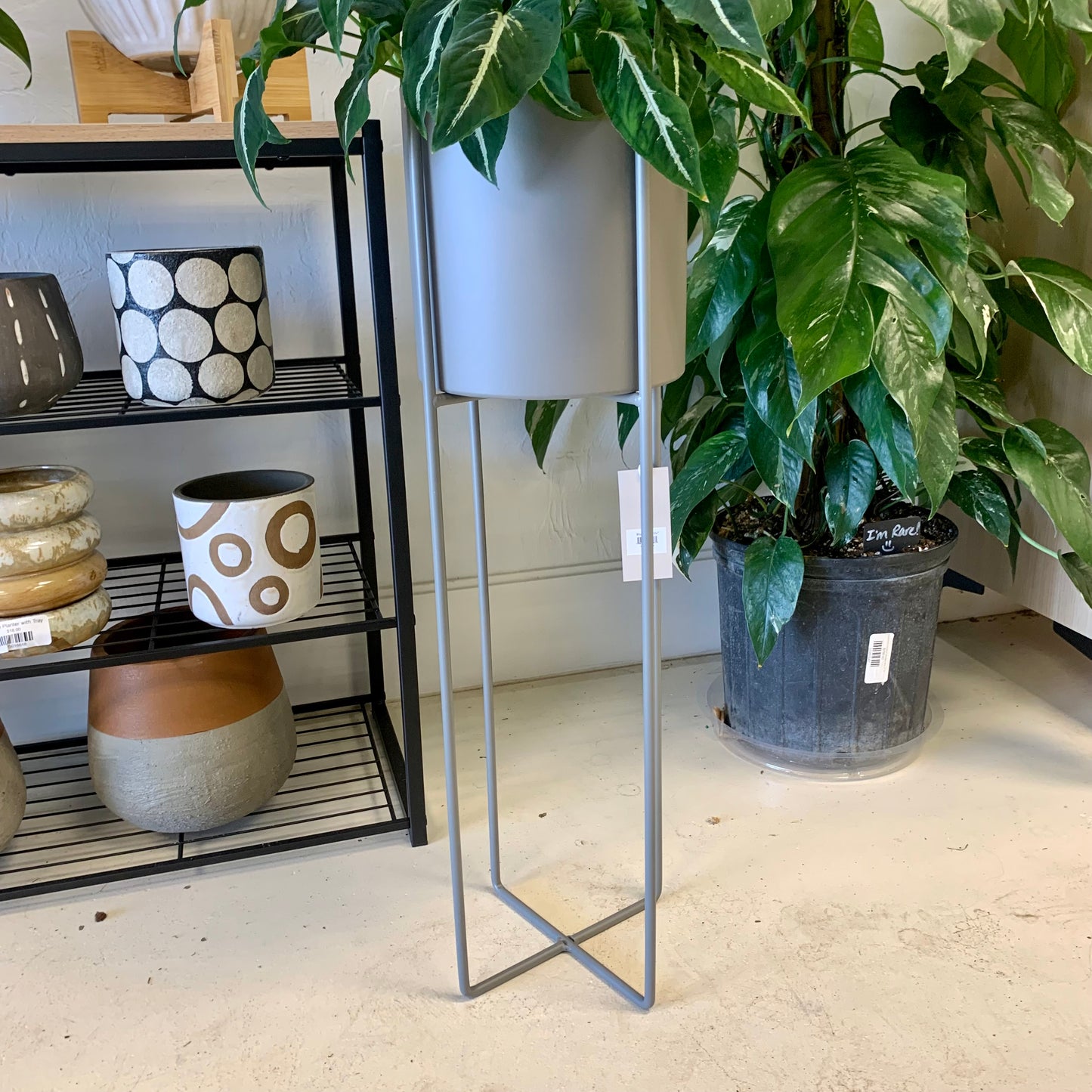 Gray Metal Planter with Stand
