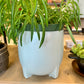 Sea-Green Planter