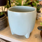 Sea-Green Planter