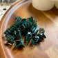 Jungle House Plant Clips