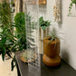 Plastic Moss Pole
