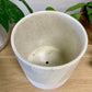 Modern Textured Pot