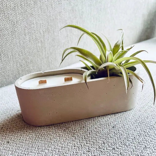 Air Plant Holder + Candle