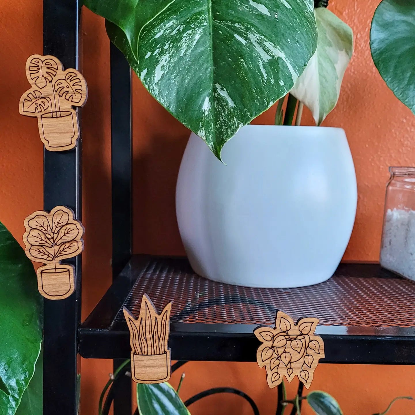 Monstera Leaf Magnets