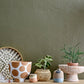 Polka Dot Terracotta Pot