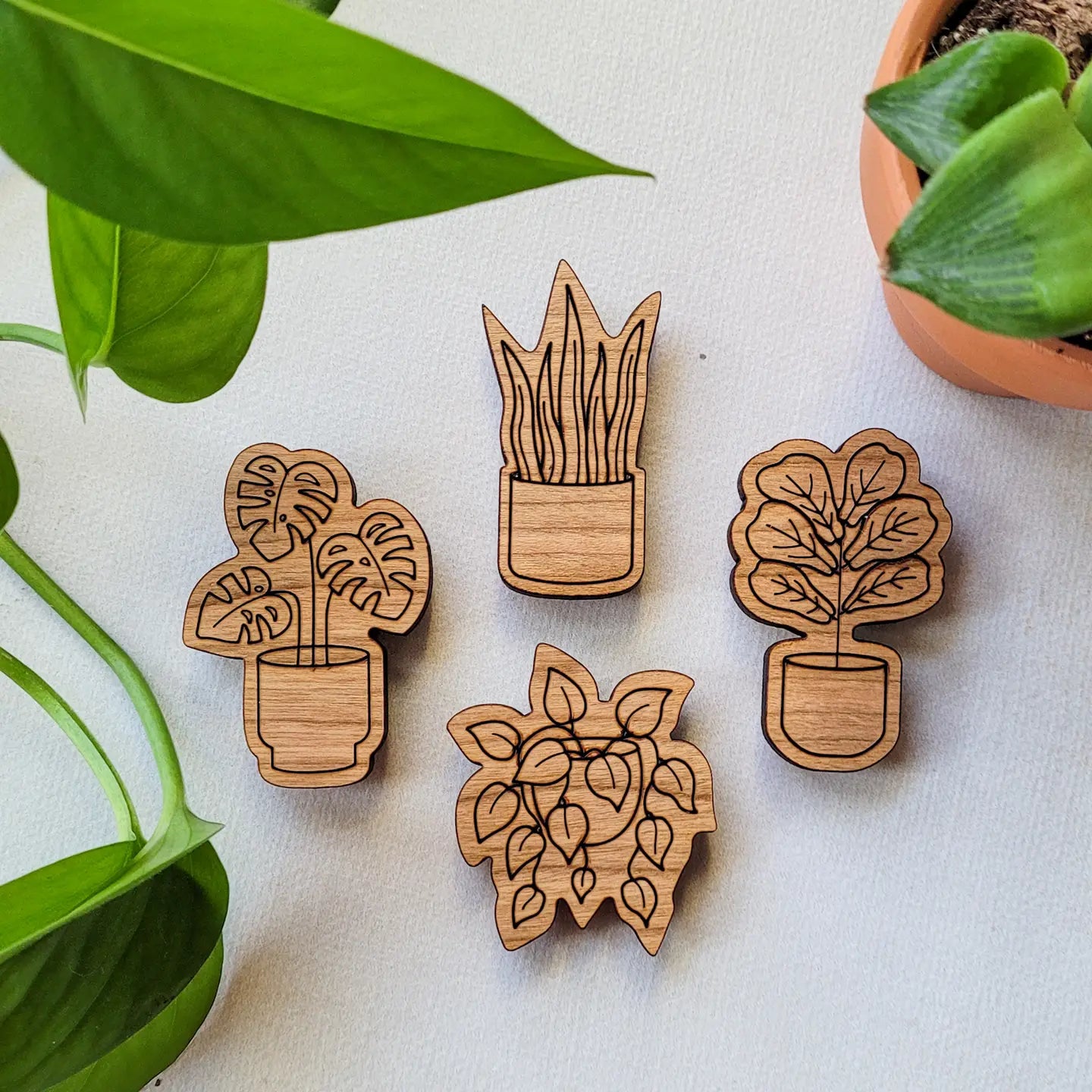 Plant Shaped Magnets