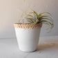 Mesa White Terracotta Pot
