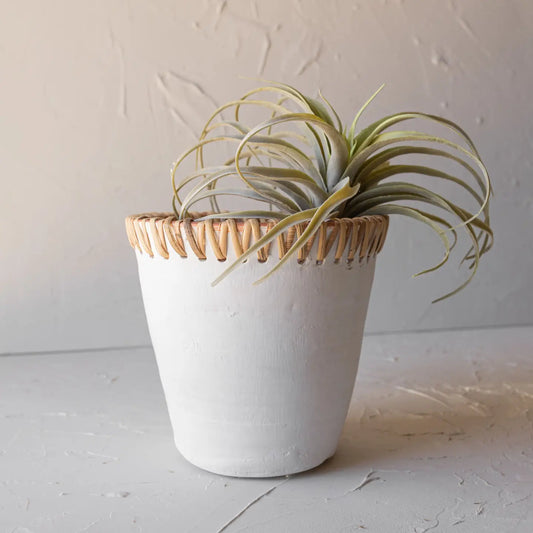 Mesa White Terracotta Pot