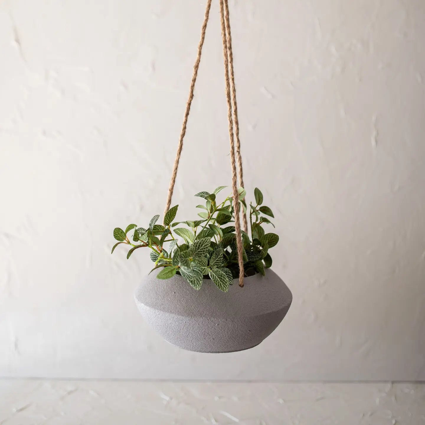 Sloan Hanging Planter